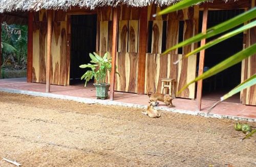Giong Trom Other | Ecoco Homestay Mekong