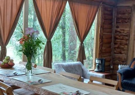 Acaxochitlan Apartment | ecoturístico montaña viviente , CABAÑA CHALCHOAPAN