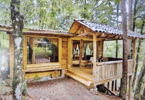 Acaxochitlan Apartment | ecoturístico montaña viviente , CABAÑA CHALCHOAPAN