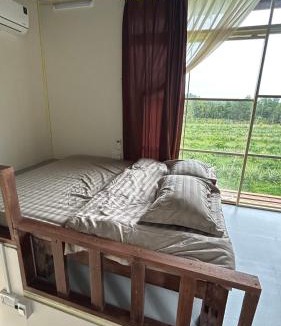 Phuoc Long House | Em Cá Gỗ Farmstay