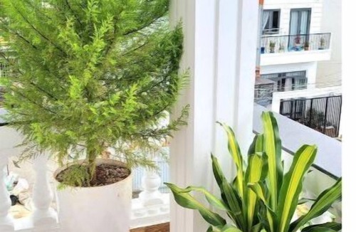 Da Lat House | Entire Home: Beautiful, Brand-new built in 2022