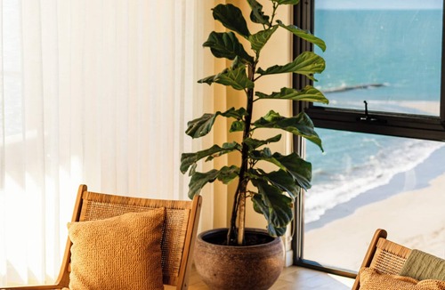 Kino Nuevo Apartment | Exclusive Penthouse in Bahia de Kino with terrace and barbecue area