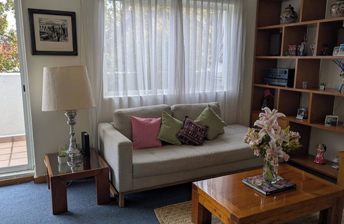 San Miguel Chapultepec Apartment | Experience the Magic of San Miguel Chapultepec! Park, cafes, and art galleries.