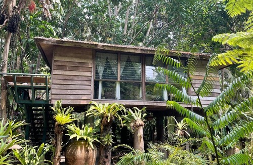 San Sai Resort | Fern Paradise