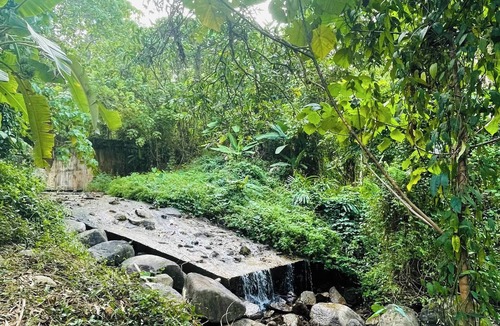 Ban Na Faek House | Fill your heart with nature at House of Lee#1