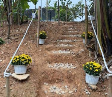 Tran Yen House | Fish Farm Uncle Thanh