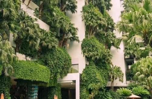 Ngoc Thanh Apartment | Flamingo Dai Lai Resort - Forest In The Sky Executive F220
