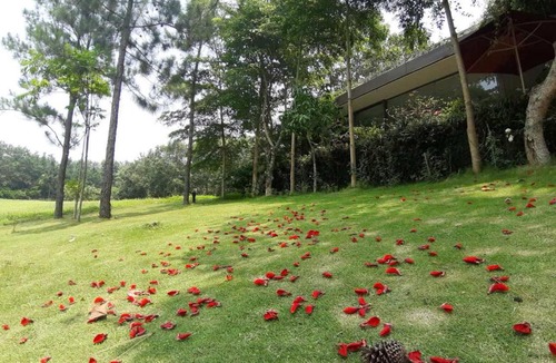 Ngoc Quang Villa | FLAMINGOS Villa Happy 3 phòng ngủ- bể bơi riêng
