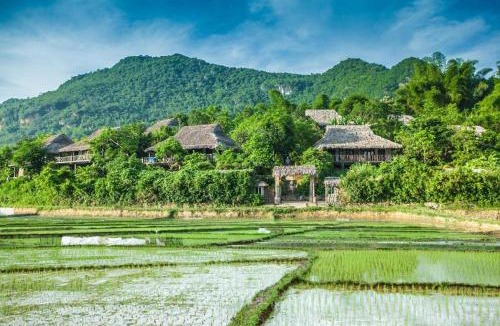 Da Nang Hotel | Flora House Da Nang