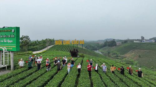 Dai Tu Hotel | Framstay Mây Sườn Đông