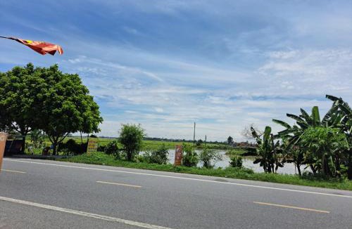 Thai Thuy Apartment | GolDen RiCe