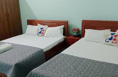 Co To Villa | Hậu Villa Cô Tô - Venuestay