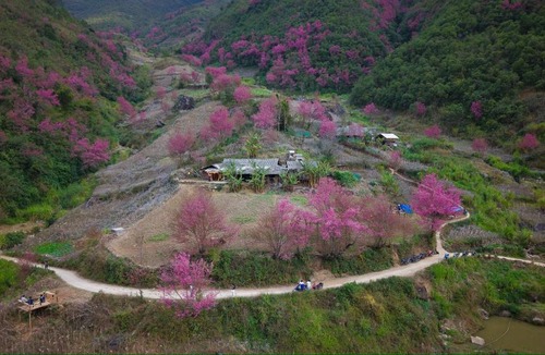 Mu Cang Chai House | H'mong Village Mù Cang Chải