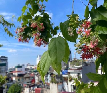 Hang Buom Hostel | Hanoi Quarter Life Hostel