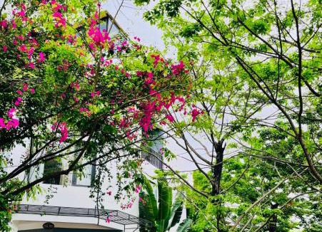 Ha Long Villa | Haradise Suite Villa & Homestay Ha Long