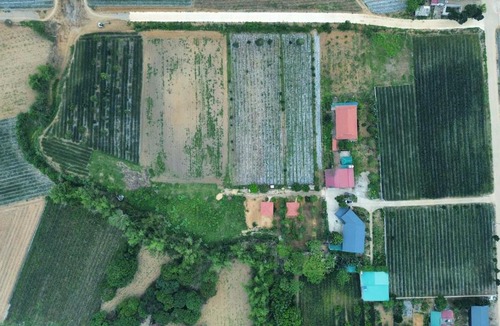 Nho Quan Hostel | Herbal Farm Day Retreat- Viên Thông Đường