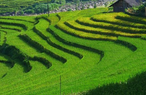 Hau Thao House | Hmong Sister House and Trekking