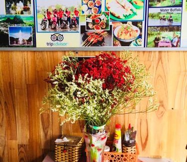 Cam Pho House | Hoa Mau Don Homestay