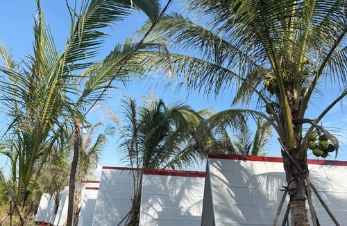 Phu Quoc Cabin | Hoa Tigon Hòn Một