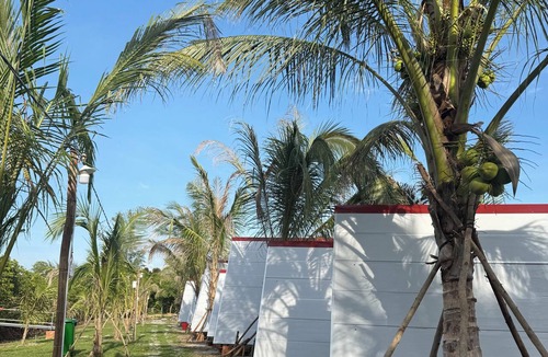 Phu Quoc Resort | Hoa Tigon Hon Mot