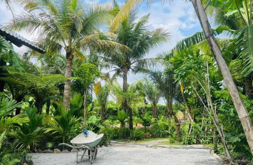 Phuong 11 Cabin | Homestay Bình Châu