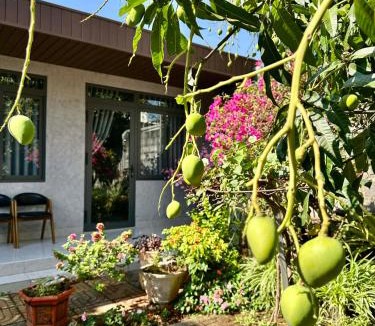 Buon Ma Thuot Apartment | Homestay Buôn Mê 1