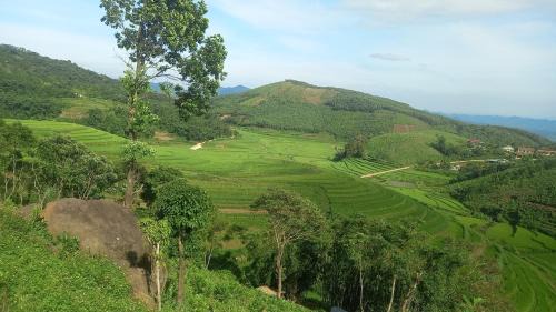 Lac Son Apartment | Homestay Cây Thông