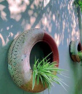 Binh Thuy Hotel | Homestay canthoriver