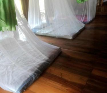 Pu Long Nature Reserve Apartment | Homestay gió lặng