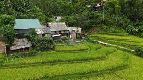 Pu Long Nature Reserve Apartment | Homestay gió lặng