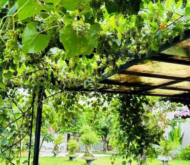 Son Hoa House | Homestay Highland Garden