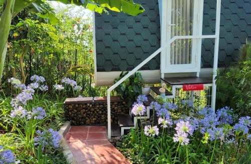 Di Linh Hotel | Homestay Lê Đinh House
