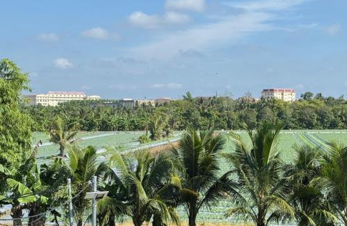 Phong Dien Bed & Breakfast | Homestay Phương Chi