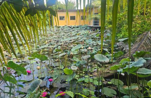 Vung Tau House | Homestay Sen & Zen Villa Vũng Tàu