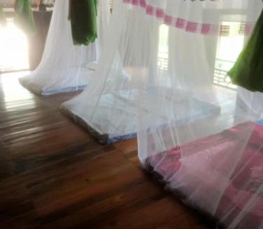 Pu Long Nature Reserve Apartment | Homestay wiu field