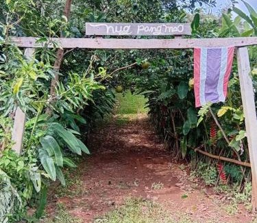 Mae Tha House | hug pang mao homestay Lampang โฮมสเตย์ฮักปางมะโอ ลำปาง
