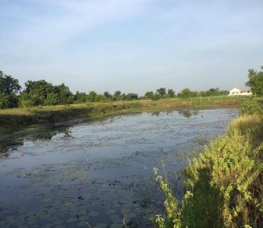 Buriram House | Huge Mound