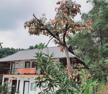 Van Chan Hotel | Huong Viet Hotel