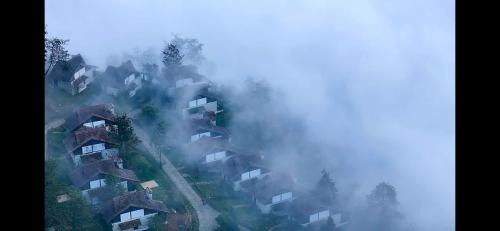 Sa Pa Villa | Ja Villa Sa Pa