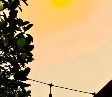 Tran Chau Cabin | Je-wel Homestay