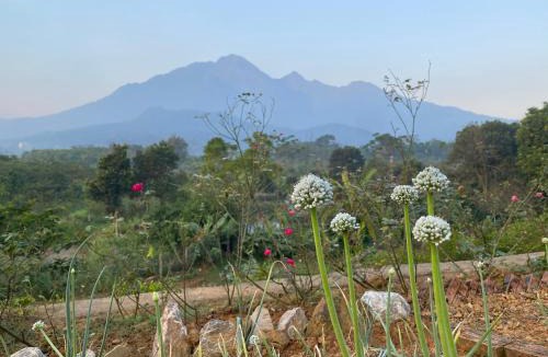 Ba Vi House | Kame Healing Garden