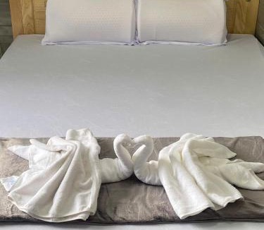 Tan Phuoc Hotel | Khách sạn Hotel 6