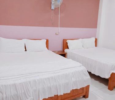 Con Son Hotel | khách sạn IQ