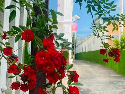 Bao Loc Hotel | Khách sạn Trọng Thiêm 2