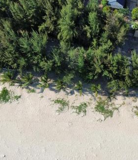 Long Hai Other | Khu Camping & Homestay Ven Biển