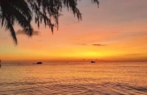 Ham Ninh Resort | Kiki Coconut Beach Resort