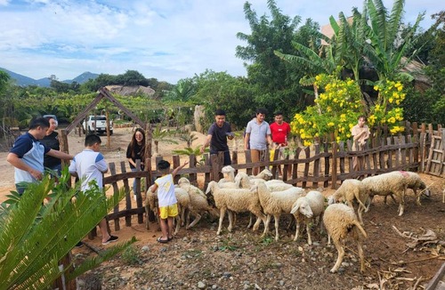 Thuan Nam House | Làng Cừu Farmstay