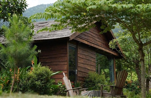 Soc Son Other | Làng Farm - Sóc Sơn