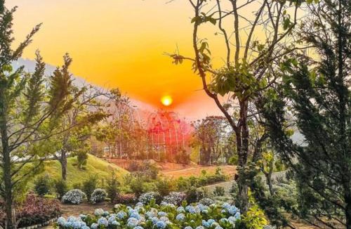 Da Lat Other | Làng Hương Village
