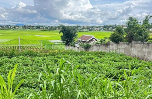 Pleiku Apartment | Lúa Vàng homestay
